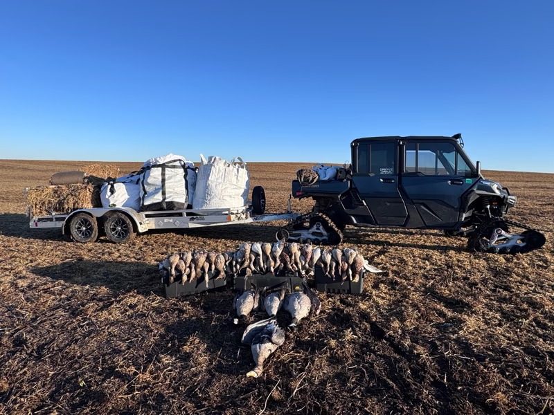 Decoy trailer and truck in a harvested grain field